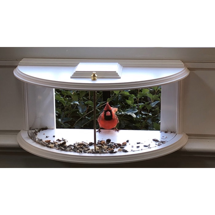 Arlmont & Co. Krick View Window Tray Bird Feeder & Reviews Wayfair